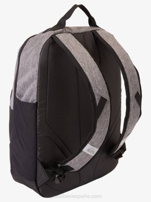 brezo del patrimonio mochila hielera escolar 30l D6T4D372 hombres Quiksilver
