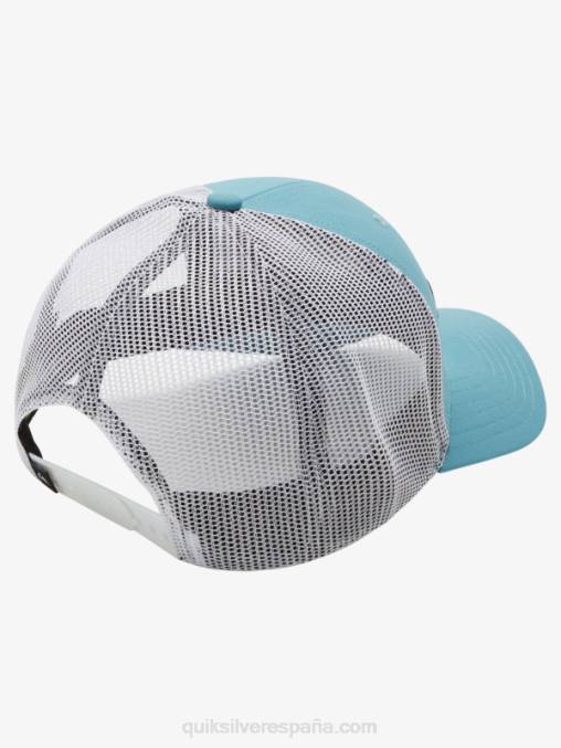 azul bretaña gorra trucker con captura en popa D6T4D966 hombres Quiksilver