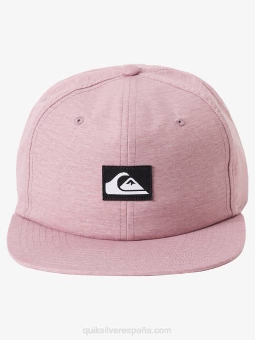 brezo orquídea oscuro sombrero snapback dólar de plata D6T4D1666 hombres Quiksilver