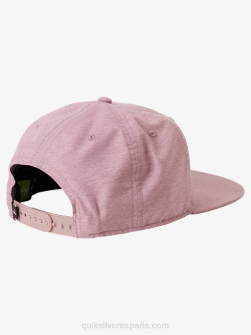 brezo orquídea oscuro sombrero snapback dólar de plata D6T4D1666 hombres Quiksilver