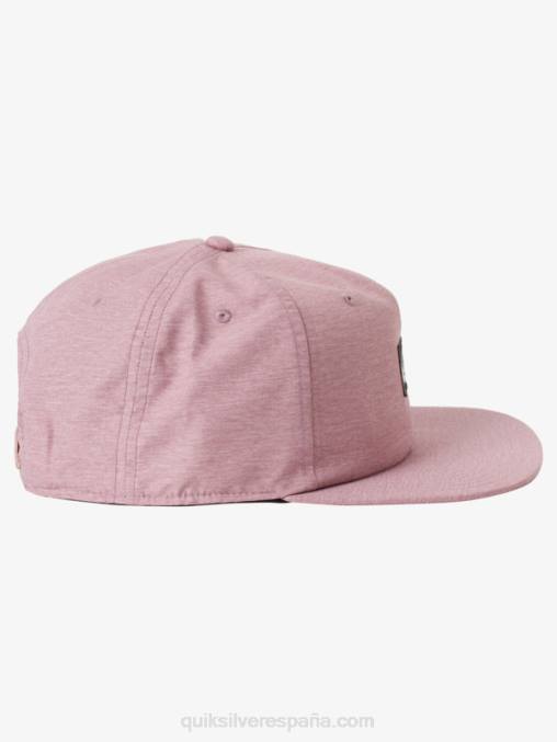 brezo orquídea oscuro sombrero snapback dólar de plata D6T4D1666 hombres Quiksilver
