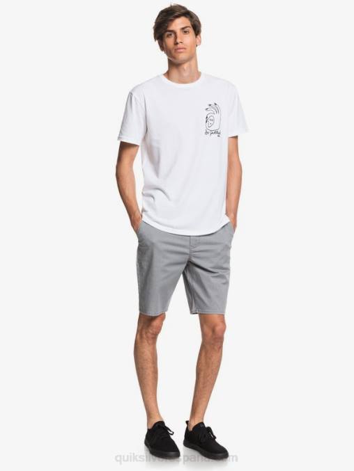 brezo gris claro shorts chinos con bolsillos elásticos 20 de daily union D6T4D1312 hombres Quiksilver