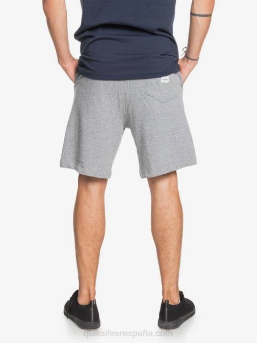 brezo gris claro shorts de chándal orgánicos essentials 19 D6T4D1659 hombres Quiksilver