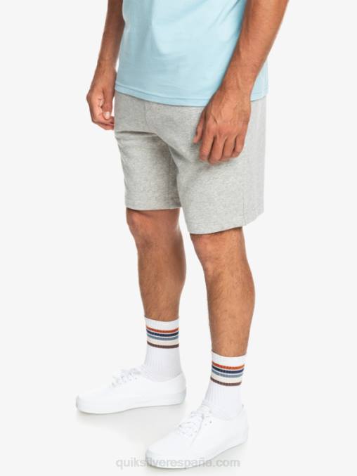 brezo gris claro shorts deportivos esenciales D6T4D1272 hombres Quiksilver