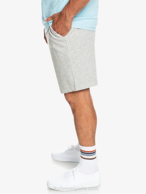 brezo gris claro shorts deportivos esenciales D6T4D1272 hombres Quiksilver