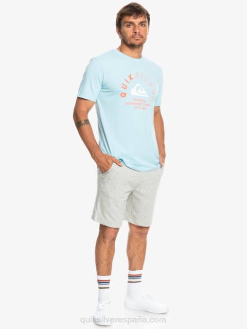 brezo gris claro shorts deportivos esenciales D6T4D1272 hombres Quiksilver