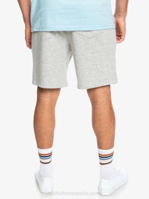 brezo gris claro shorts deportivos esenciales D6T4D1272 hombres Quiksilver
