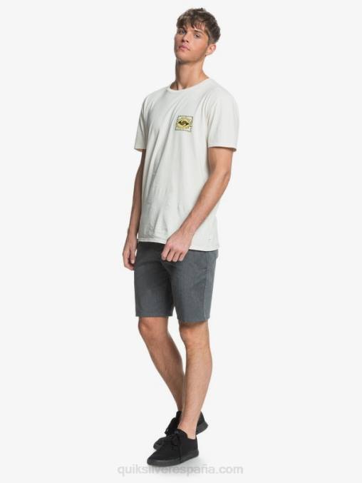 brezo gris oscuro shorts chinos con bolsillos elásticos 20 de daily union D6T4D1313 hombres Quiksilver