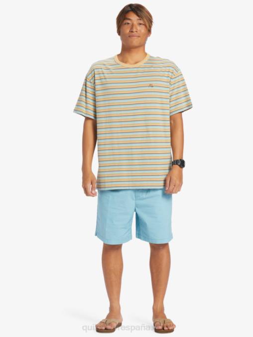 camafeo azul shorts elásticos taxer D6T4D319 hombres Quiksilver