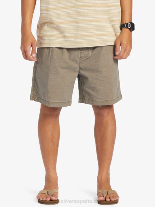 chispas de chocolate shorts elásticos taxer D6T4D322 hombres Quiksilver