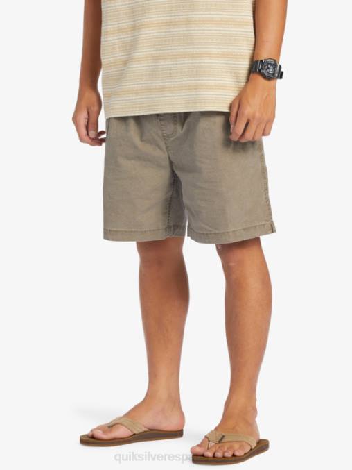chispas de chocolate shorts elásticos taxer D6T4D322 hombres Quiksilver