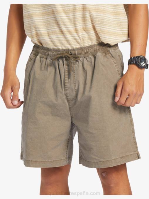 chispas de chocolate shorts elásticos taxer D6T4D322 hombres Quiksilver