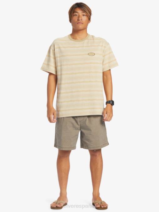 chispas de chocolate shorts elásticos taxer D6T4D322 hombres Quiksilver