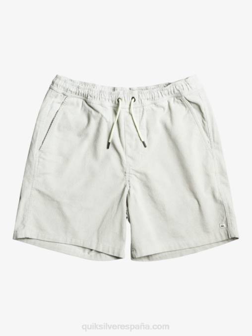 gris violeta shorts de pana taxer D6T4D363 hombres Quiksilver