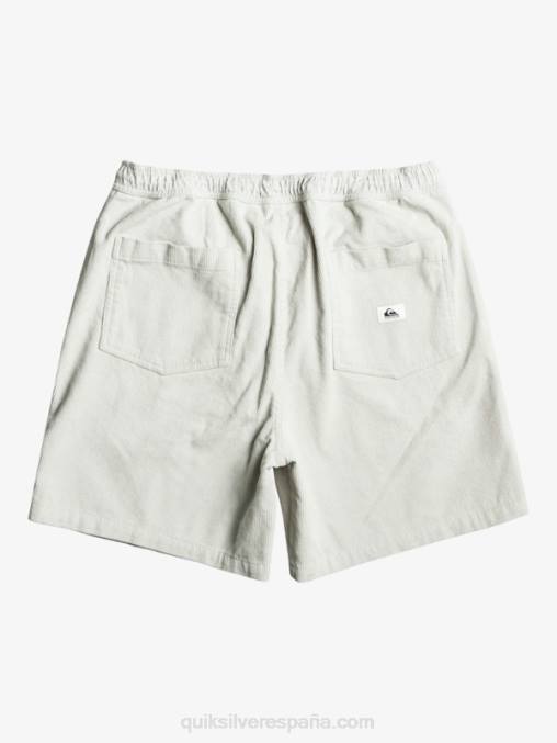 gris violeta shorts de pana taxer D6T4D363 hombres Quiksilver