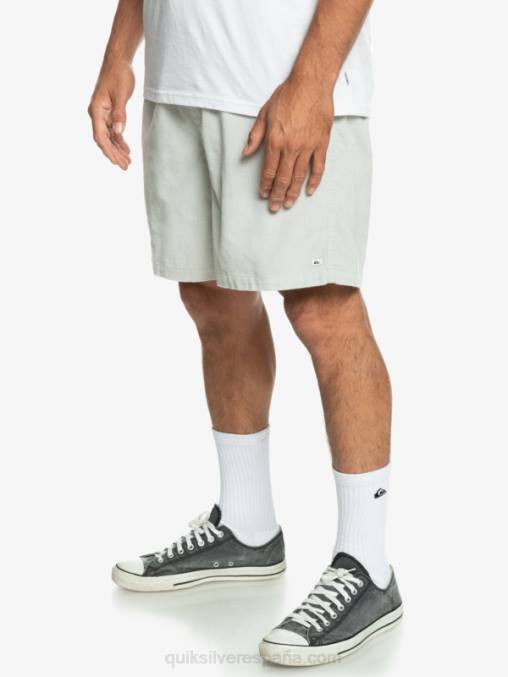 gris violeta shorts de pana taxer D6T4D363 hombres Quiksilver