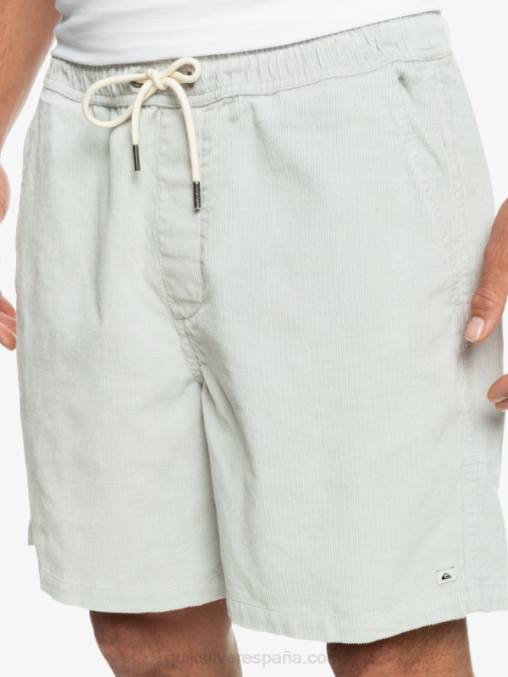gris violeta shorts de pana taxer D6T4D363 hombres Quiksilver