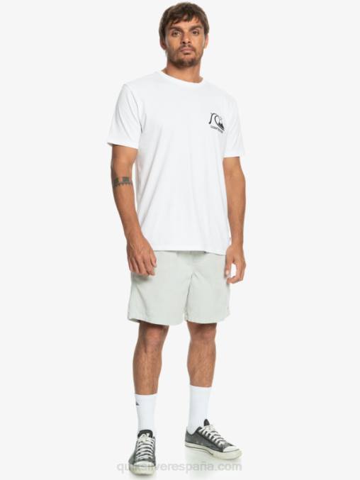 gris violeta shorts de pana taxer D6T4D363 hombres Quiksilver