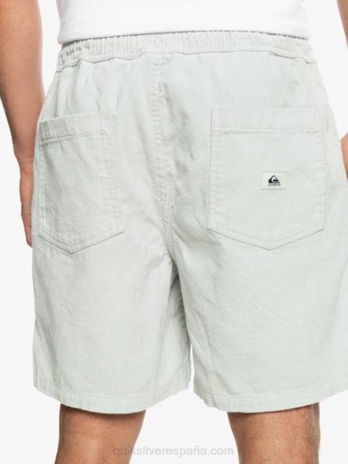 gris violeta shorts de pana taxer D6T4D363 hombres Quiksilver