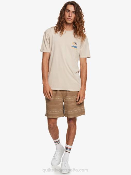 mini jacquard gris oliva pantalones cortos taxer en jacquard D6T4D421 hombres Quiksilver