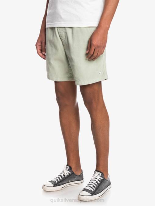 salvia del desierto shorts de pana taxer D6T4D365 hombres Quiksilver