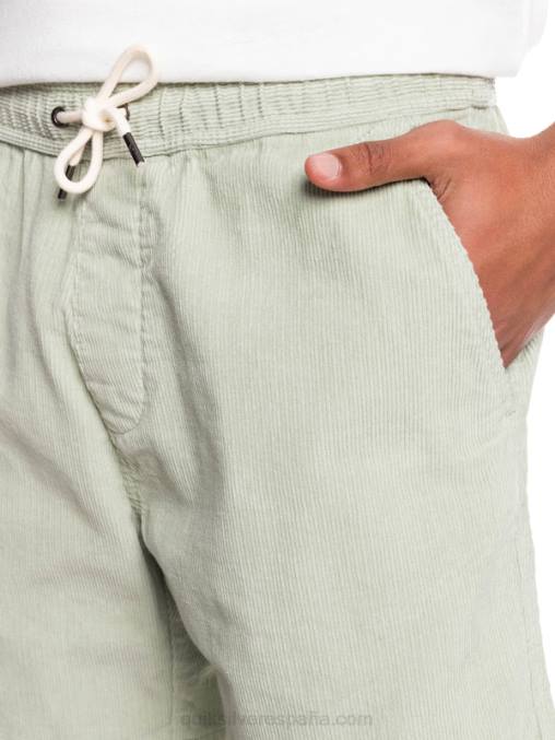 salvia del desierto shorts de pana taxer D6T4D365 hombres Quiksilver
