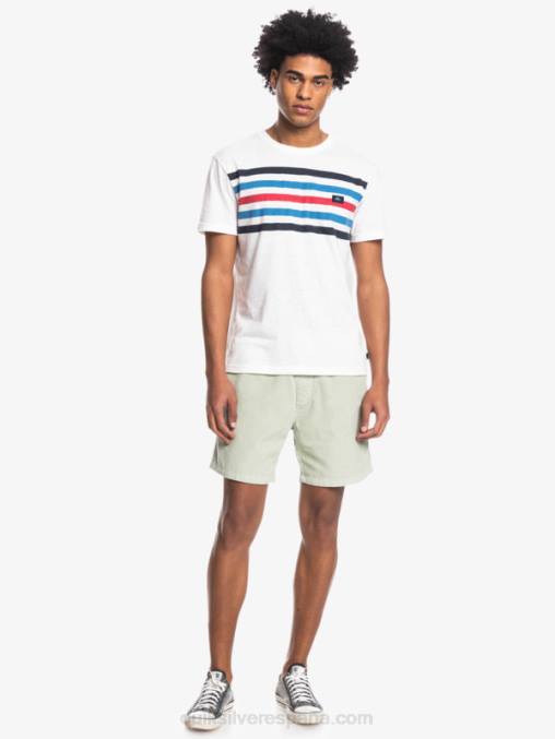 salvia del desierto shorts de pana taxer D6T4D365 hombres Quiksilver