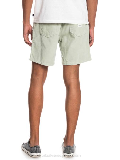 salvia del desierto shorts de pana taxer D6T4D365 hombres Quiksilver