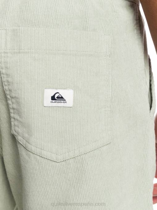 salvia del desierto shorts de pana taxer D6T4D365 hombres Quiksilver