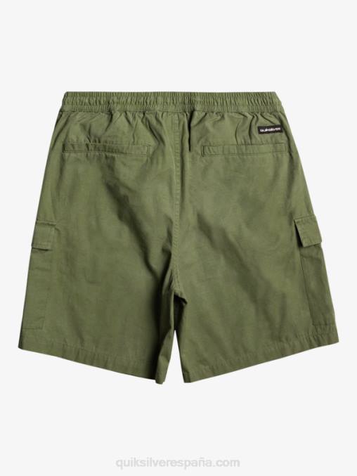 trébol de cuatro hojas shorts cargo taxer cintura elastica 19 D6T4D1010 hombres Quiksilver
