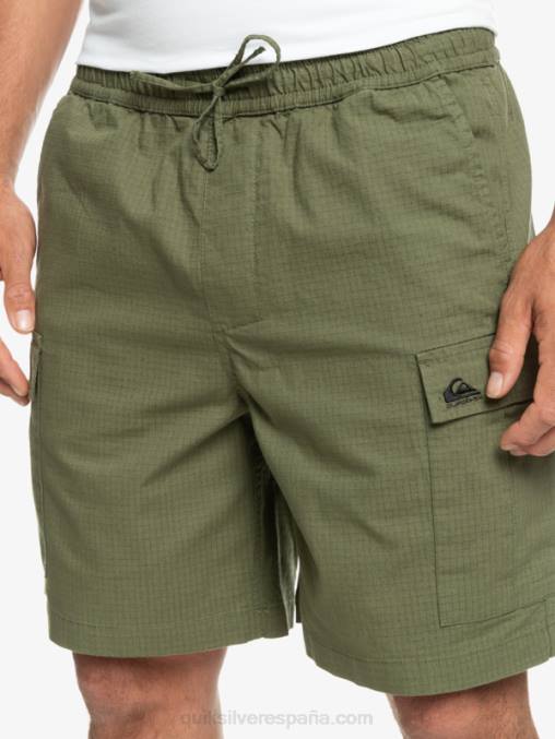 trébol de cuatro hojas shorts cargo taxer cintura elastica 19 D6T4D1010 hombres Quiksilver