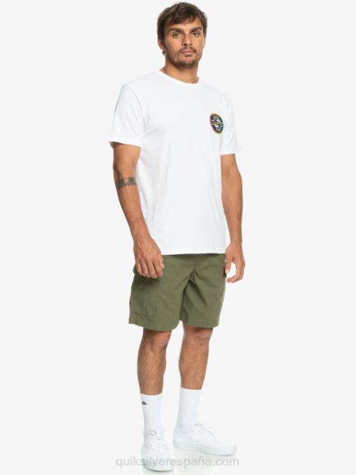 trébol de cuatro hojas shorts cargo taxer cintura elastica 19 D6T4D1010 hombres Quiksilver