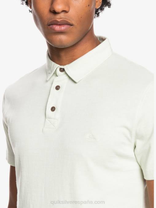 Celendina polo de manga corta de crucero de sol todos los días D6T4D1554 hombres Quiksilver