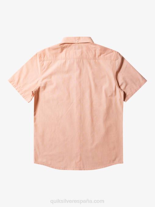 bronceado cobre camiseta de manga corta D6T4D378 hombres Quiksilver