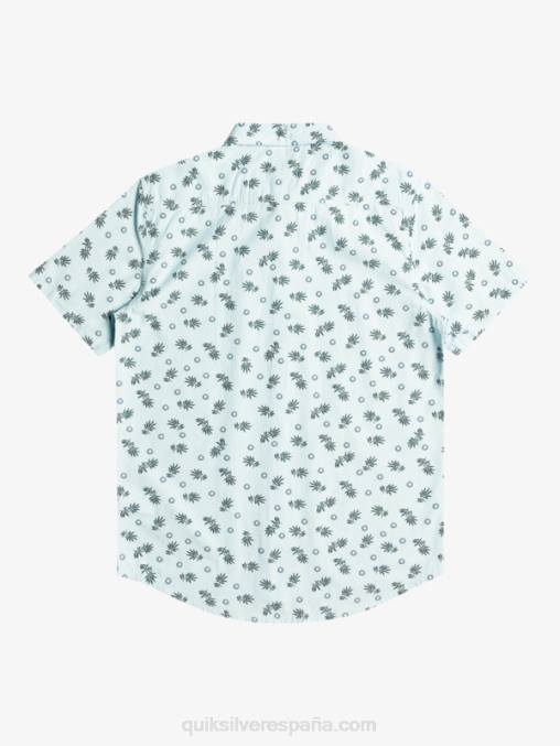 cielo azul del océano del océano al paraíso camiseta de manga corta D6T4D1389 hombres Quiksilver