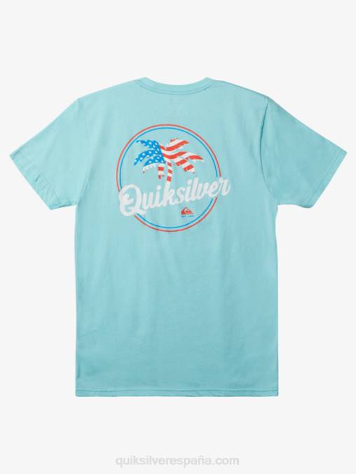 Angel Azul camiseta con brisa de palma D6T4D236 hombres Quiksilver