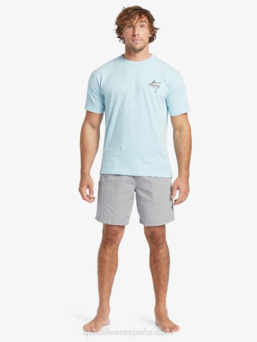 acuático camiseta waterman belleza en el mar D6T4D51 hombres Quiksilver