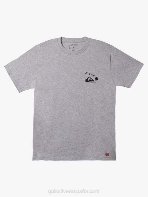 brezo atlético camiseta hawaii con doble anzuelo D6T4D1113 hombres Quiksilver