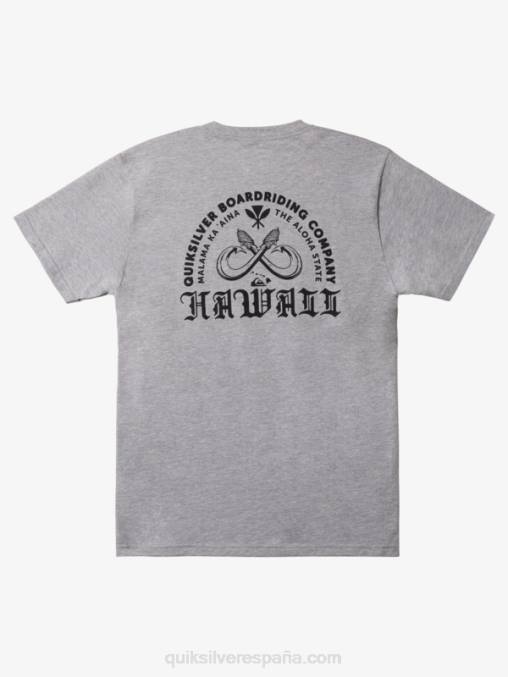 brezo atlético camiseta hawaii con doble anzuelo D6T4D1113 hombres Quiksilver