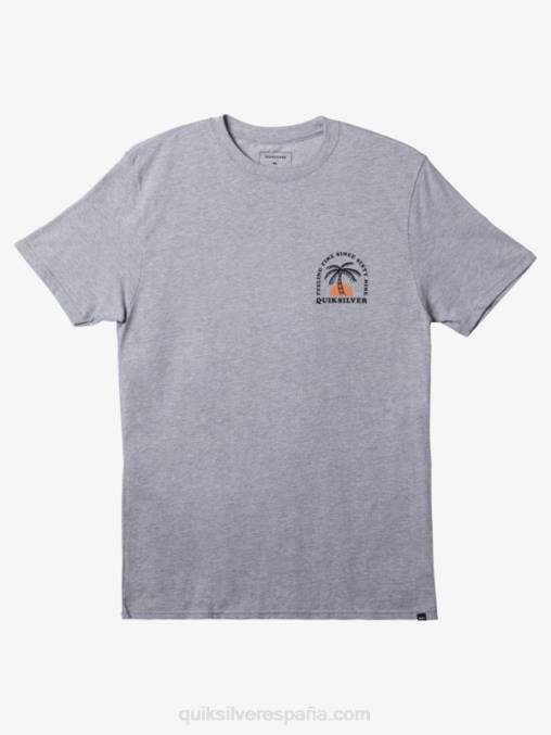 brezo atlético la camiseta ondulada D6T4D185 hombres Quiksilver