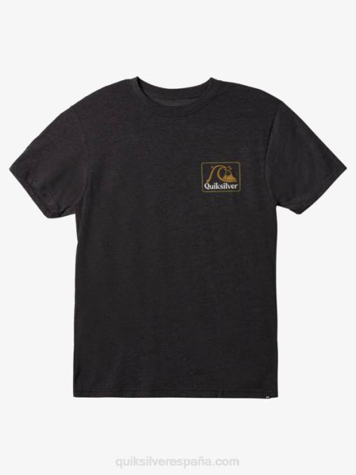 brezo de carbón camiseta cuadrada biz mod D6T4D1189 hombres Quiksilver