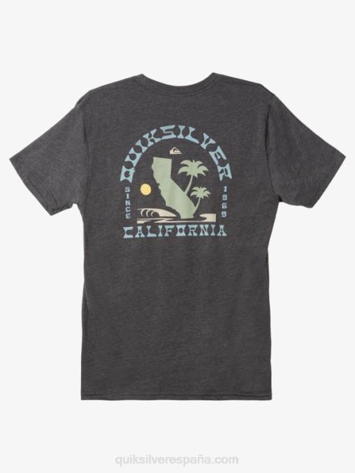 brezo de carbón camiseta icónica del oeste de california D6T4D1229 hombres Quiksilver