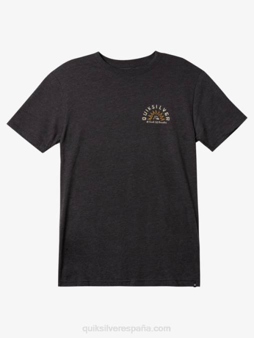 brezo de carbón camiseta mod cuentos de agua D6T4D970 hombres Quiksilver