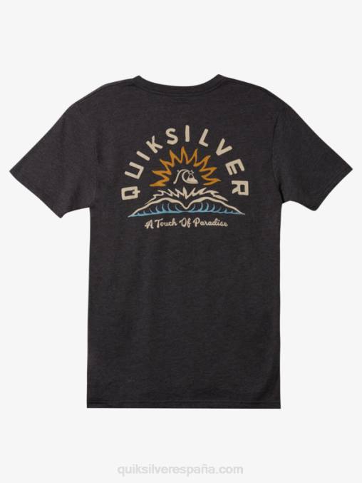 brezo de carbón camiseta mod cuentos de agua D6T4D970 hombres Quiksilver
