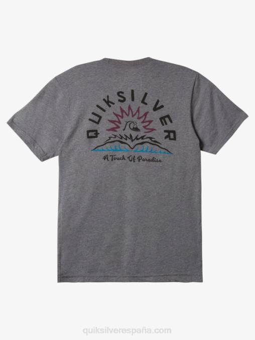 brezo gris medio camiseta mod cuentos de agua D6T4D969 hombres Quiksilver