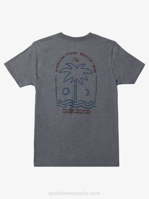 brezo gris medio camiseta nueva toma mod D6T4D1072 hombres Quiksilver