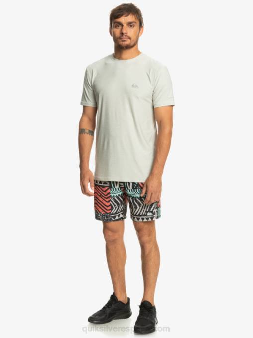 brezo gris violeta camiseta corredor de la costa D6T4D1329 hombres Quiksilver