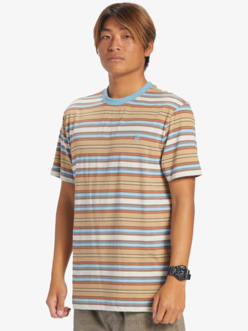 raya geller taos playera con rayas geller D6T4D631 hombres Quiksilver