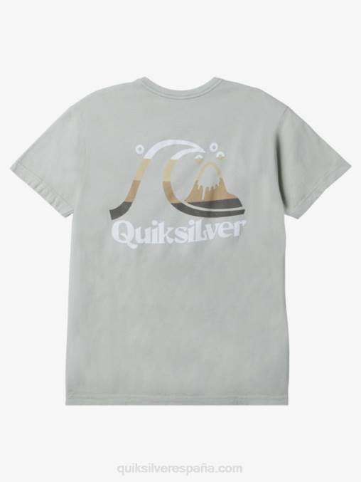 salvia del desierto camiseta hora de la isla D6T4D1628 hombres Quiksilver
