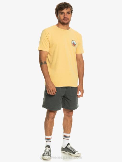 trigo camiseta con sello de burbuja qs D6T4D1157 hombres Quiksilver